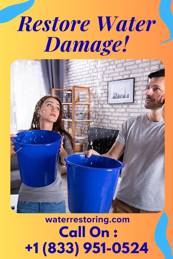 water restoration Ideal Drying Specialists Byers