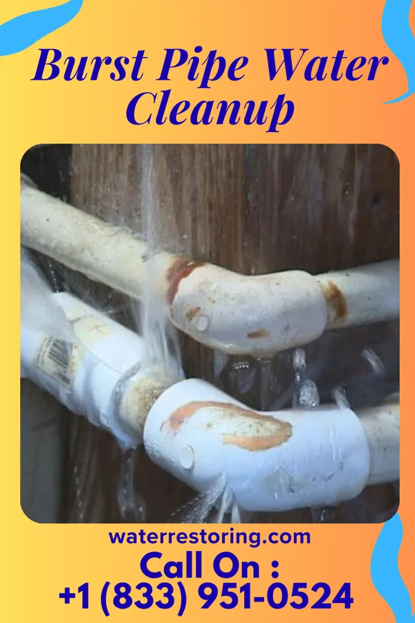 Burst Pipe Water Cleanup in Byers, KS
