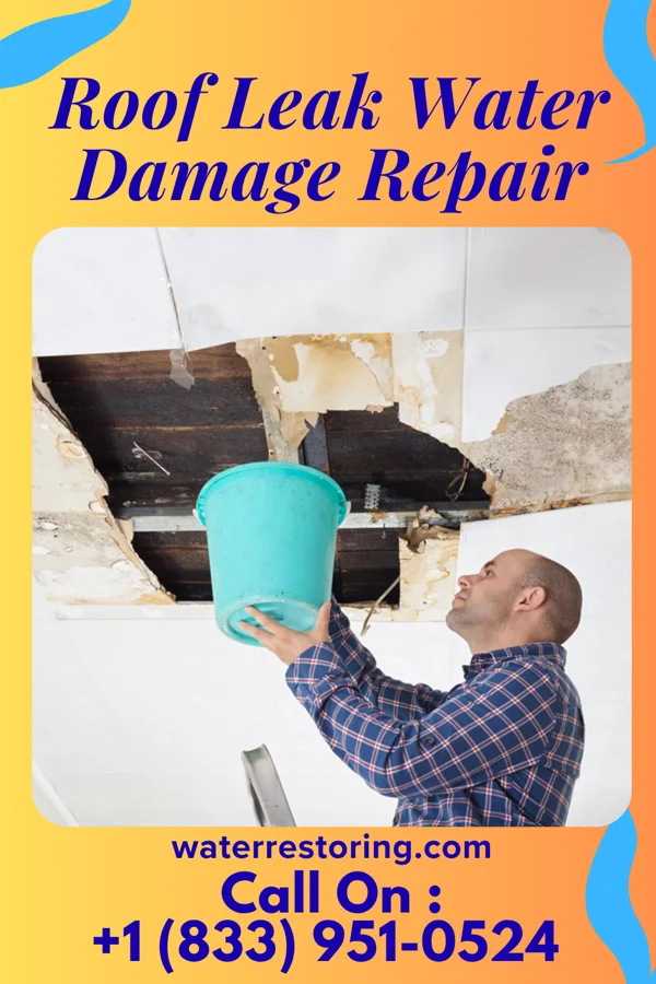 Roof Leak Water Damage Repair in Byers, KS